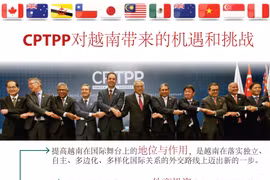 图表新闻： CPTPP对越南带来的机遇和挑战 