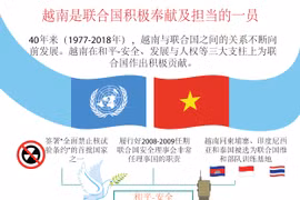 图表新闻：越南是联合国积极奉献及担当的一员 