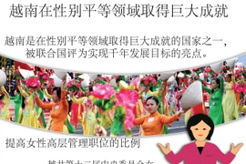 图表新闻：越南在性别平等领域取得巨大成就