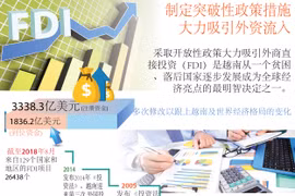 图表新闻：制定突破性政策措施 大力吸引外资流入 