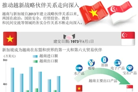 图表新闻：推动越新战略伙伴关系走向深入 