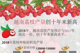 图表新闻：越南荔枝产量创十年来新高 