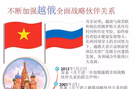 图表新闻：不断加强越俄全面战略伙伴关系 