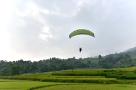 宣光省首次举行滑翔伞表演（组图）