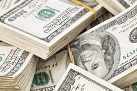 17日越盾兑美元中心汇率上涨5越盾