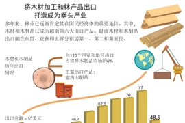 图表新闻： 将木材加工和林产品出口打造成为拳头产业