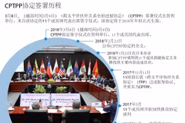 图表新闻：CPTPP协定签署历程