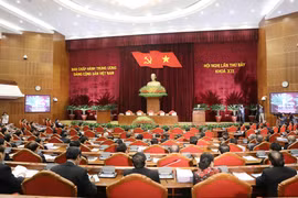 越南共产党第十二届中央委员会第七次全体会议正式落幕（组图）