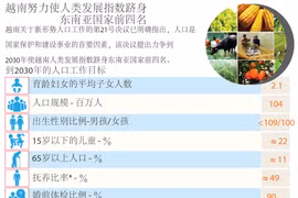 图表新闻：越南努力使人类发展指数跻身东南亚国家前四名