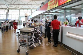 230名越南公民从韩国安全回国