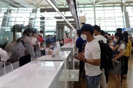 250名在韩越南公民已安全回国