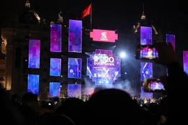 越南各地l陆续举行迎接2020年新年活动（组图）