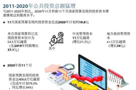 图表新闻：2011-2020年公共投资总额猛增