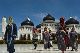 新型冠状病毒感染肺炎疫情：印尼旅游业损失预测值40亿美元