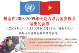 图表新闻：越南在2008-2009年任期为联合国安理会做出的贡献