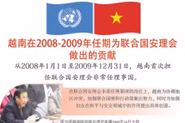 图表新闻：越南在2008-2009年任期为联合国安理会做出的贡献
