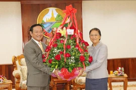 越南党和国家领导人向老挝党和国家领导人致以新年的美好祝福