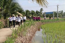 茶荣省鸟栖岛旅游区正式亮相 