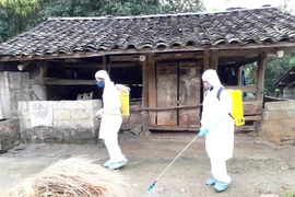 越南全国各省市积极开展非洲猪瘟疫情防控布置工作