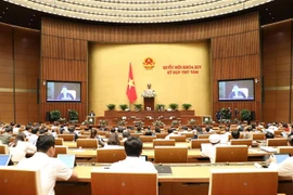越南第十四届国会第八次会议：集中讨论两部法案