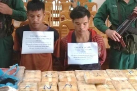 广平省破获一起跨境运输10万颗合成毒品案