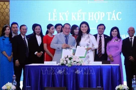 胡志明市企业家积极同海外越南企业家携手合作 共同推进越南的发展