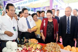国会主席阮氏金银出席2019年芹苴国际旅游博览会