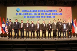 东盟农业和林业高官会议在承天顺化省开幕
