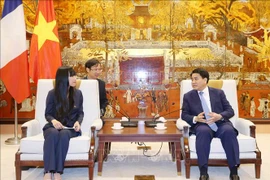 河内希望成为越法各地方间合作的典范