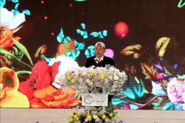 2019年第八次大叻花卉节正式拉开序幕