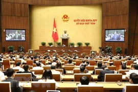 越南第十四届国会第八次会议：讨论两部法案