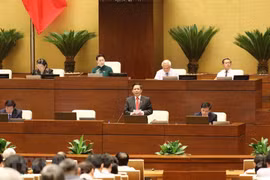 越南政府指示开展落实专题询问活动的决议