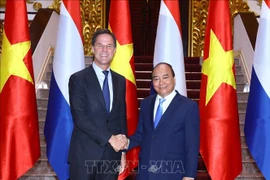  越南与荷兰发表联合声明 将两国关系提升至全面伙伴关系