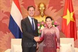 越南国会主席阮氏金银会见荷兰首相马克·吕特