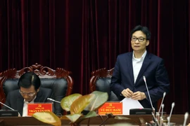 越南政府副总理武德儋视察奠边省