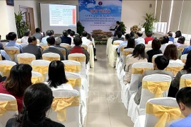 越南吸引外国人赴越体验优质医疗保健服务