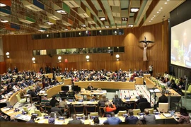 越南代表赴纽约参加联合国年度议会听证会