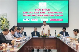 越柬商人对接之旅街头狂欢活动将于12月份举行