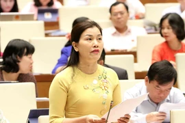 第十四届国会第七次会议：国会代表对安全秩序情况踊跃讨论