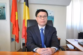 越南国会与欧洲议会在提升越南与欧盟关系水平中扮演重要作用