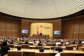 越南第十四届国会第八次会议：充分挖掘少数民族地区和山区的潜力与优势