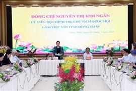 越南国会主席阮氏金银莅临同塔省调研