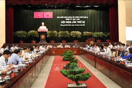 越共胡志明市第十届委员会第26次全体会议开幕