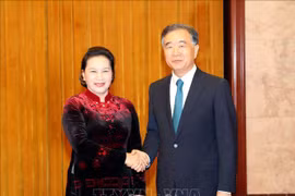 越南国会主席阮氏金银会见中国全国政协主席汪洋