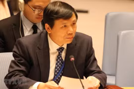越南大力支持国际法律进程