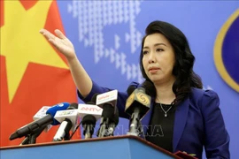 越南多错并举促进渔业可持续发展