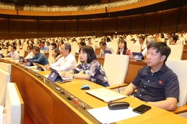 尽早启用越南公民电子护照