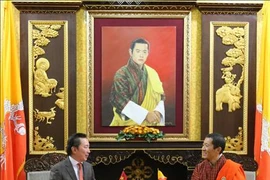 促进越南与不丹合作关系务实平稳发展