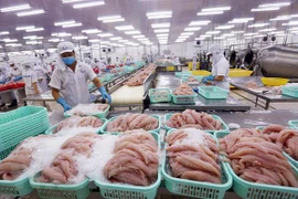 今年上半年全国水产品出口额达近40亿美元