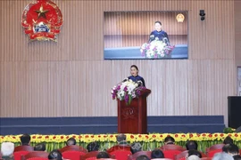 国会主席阮氏金银：检查部门应加强反腐倡廉力度